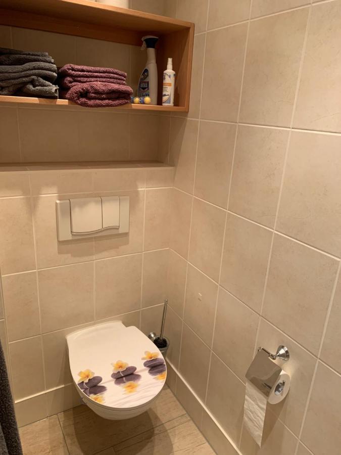 Kathrin'S Appartment Oelsnitz  ภายนอก รูปภาพ